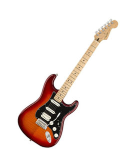 Fender Player Stratocaster PLUS TOP MN ACB