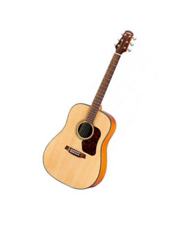 Акустическая гитара WALDEN CD550